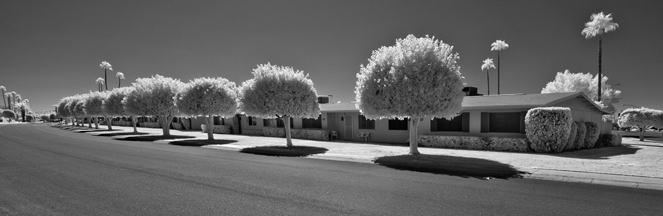 Jeremy Barnard