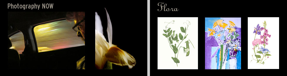 Photography Now, Flora