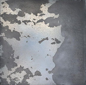 Julie Greenberg